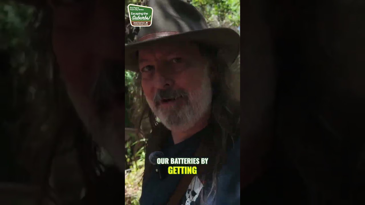 Recharge Your Energy: Finding Peace in Nature's Embrace 