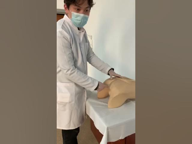 Автобустағы порно есектерге тиеді