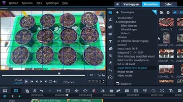 Corel Videostudio 2023: Image rotate