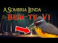 CONHEÇA as LENDAS do BEM-TE-VI | Foi CAPAZ de entregar até JESUS ele é Dedo Duro?