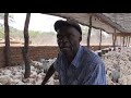 Zim graduate Katsamba turned into a chicken & vegetable farmer WATCH +263 71 354 6934