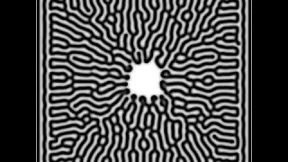 Reaction-Diffusion Simulation on Unity3D