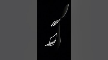 Warning: The Python Package That Steals Your Data