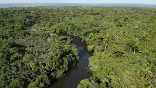 70 Acres along Mullins River For Sale, Stann Creek!