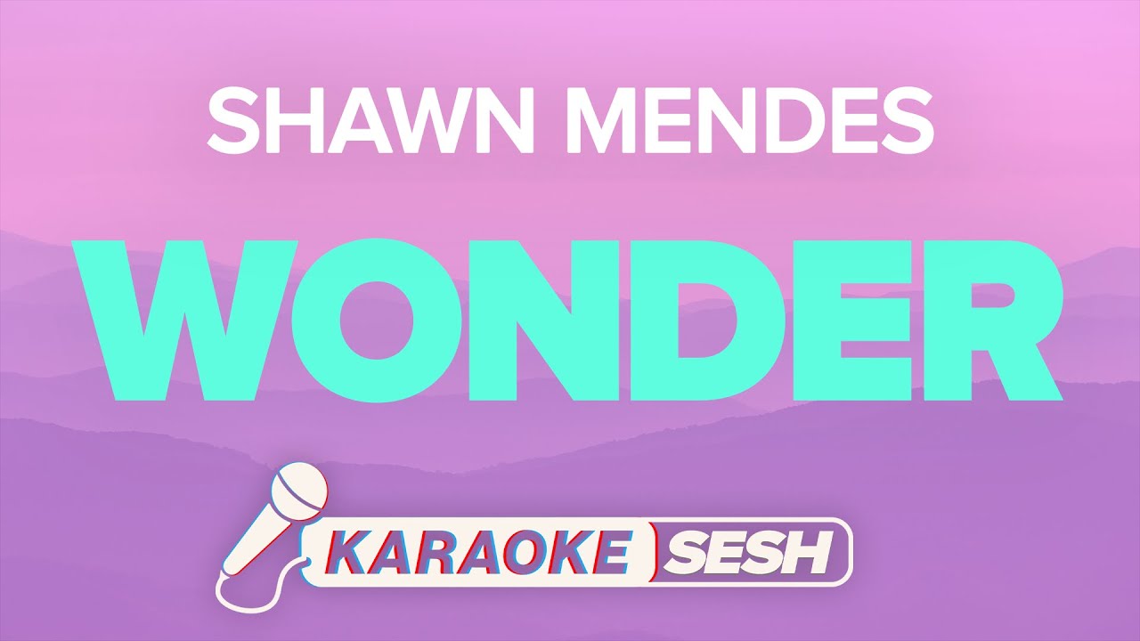 Shawn Mendes - Wonder (Karaoke)