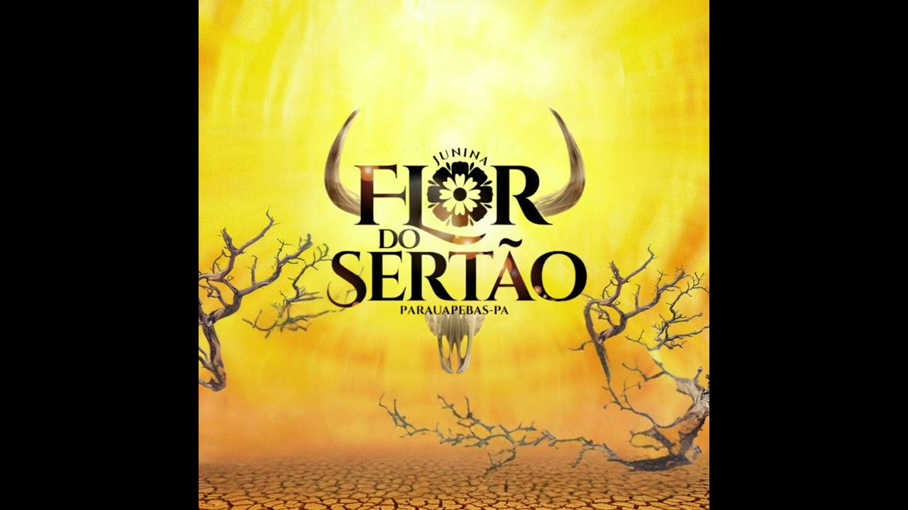 É Na Picareta - Junina Flor Do Sertão