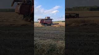 Комбайны Гомсельмаш #shorts