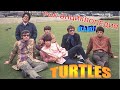 Рок-энциклопедия. Turtles. История группы