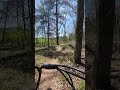 Sholes creek Montevello AL on my Aipas F3 Adventure foldable bike 