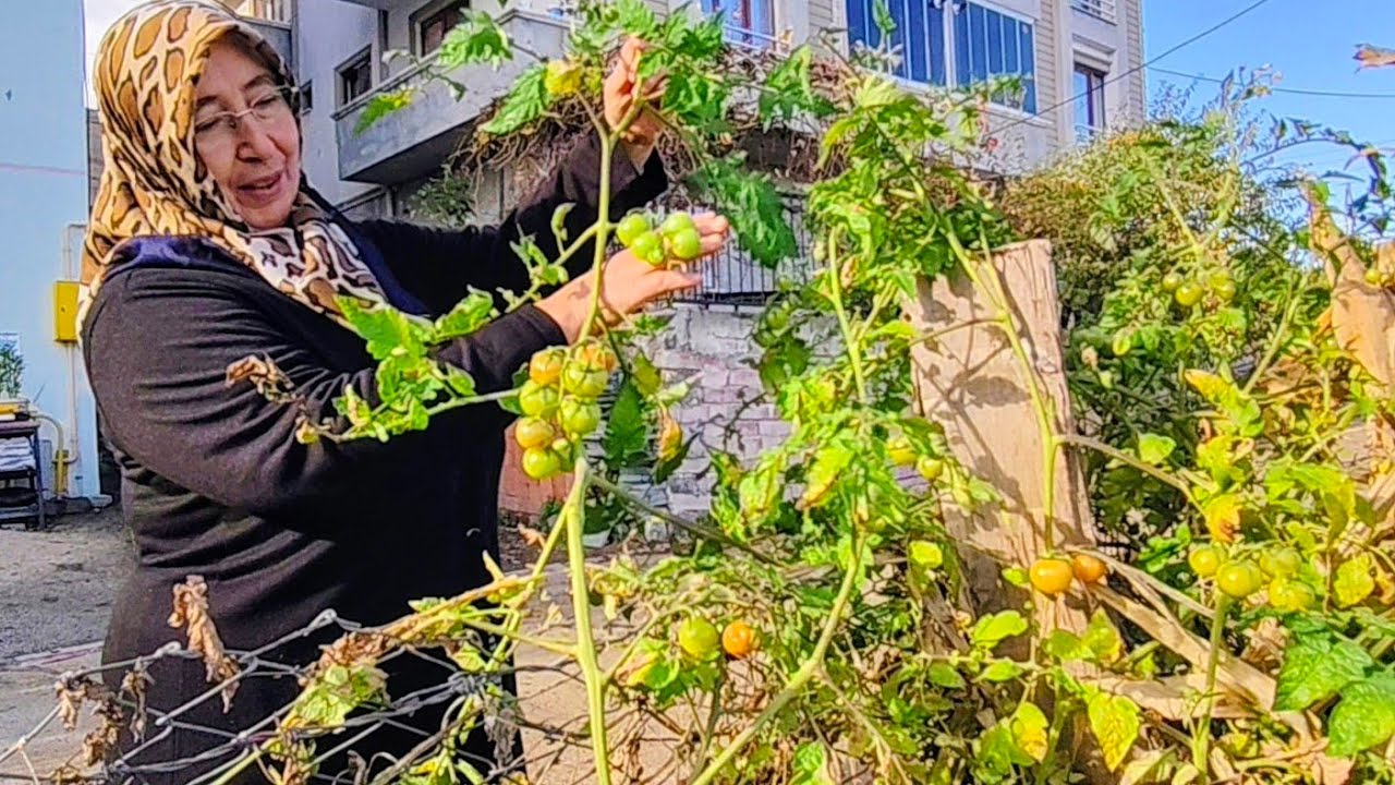 🌿 Köyde Doğal Yaşam | 🏡 Komşularımızın Şirin Bahçeleri & 🌄 Doğal Manzara