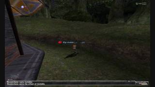 Final Fantasy XI Online: position hacking bots in Windurst Waters