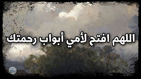 سورة الشورى من الآية ١١ إلى الآية ٢٠