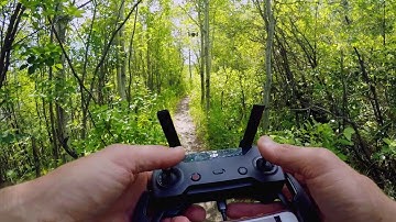 One Tip to INSTANTLY Improve Your DJI Spark Footage