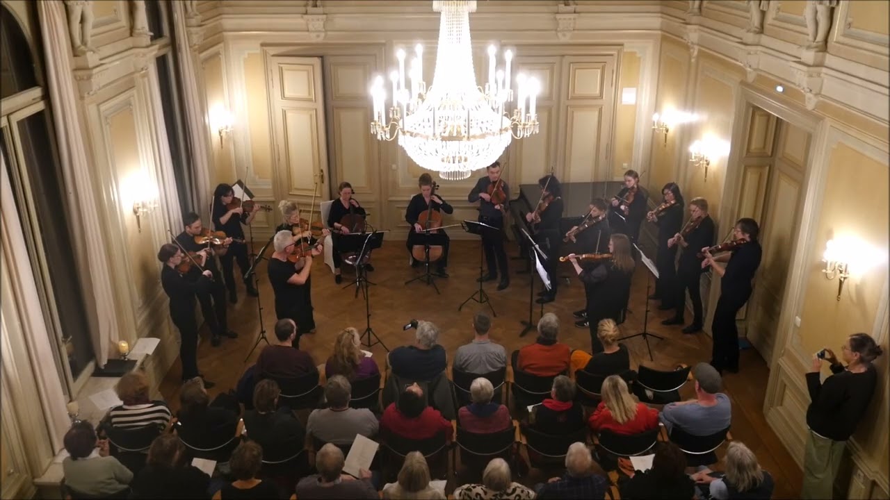 Das Ensemble Animé spielt 