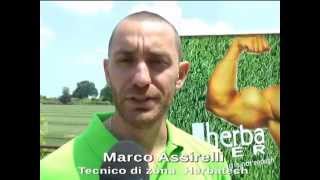 Field Day Ravenna a cura del Dott. Marco Assirelli