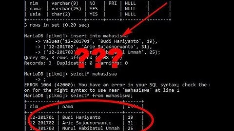 Tutorial SQL : Cara Membuat Tabel dan Memasukkan Data Table