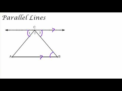 Triangle Sum Theorem