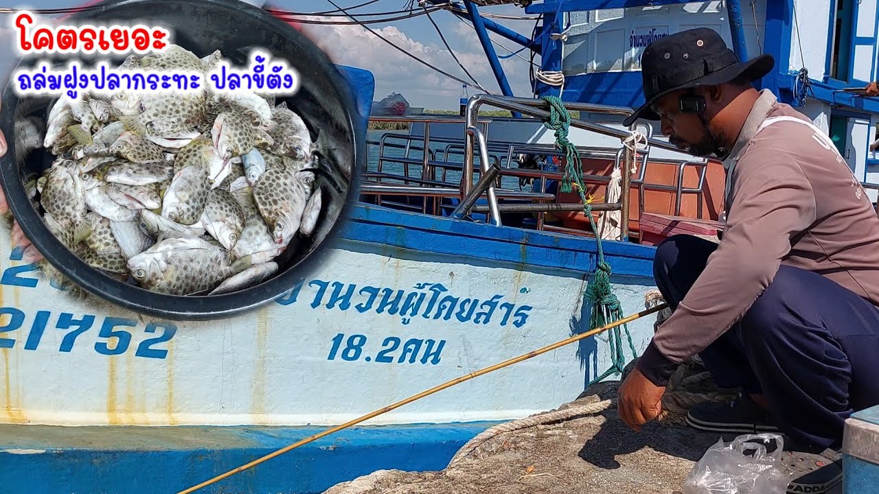 ใช้คันไม้ไผ่!!ตกปลากระทะ ปลาขี้ตัง 💢ท่าเรืออ่าวหมู ได้เยอะจนต้องแบกกลับ