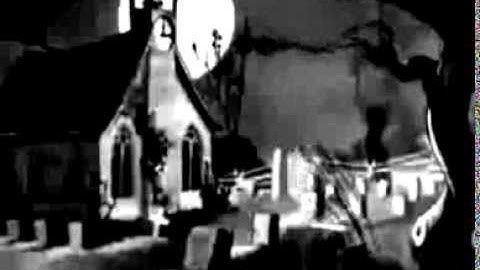 Cephalopod - The Phantom Kyle