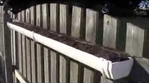 How To Make A Gutter Garden