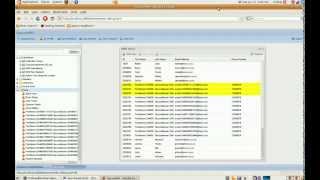 Functional Testing of an ExtJS User Interface using Selenium RC and Java
