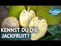 30 Meter hoch! Die krasse Ernte der veganen Wunderfrucht| Galileo Food
