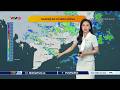 Dự báo thời tiết Tây Nam Bộ ngày mai 02/06/2026 | VTVWDB