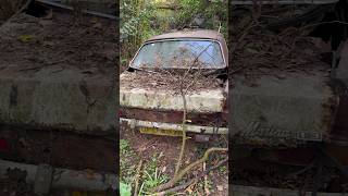 ABANDONED CAR GRAVEYARD #automobile #automotive #classiccar #abandoned #explore #urbex #car #fyp #uk