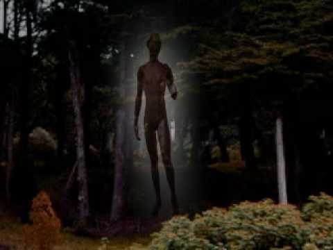 Psychogenesis - Edgar Cayce's Cosmology