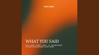What You Said