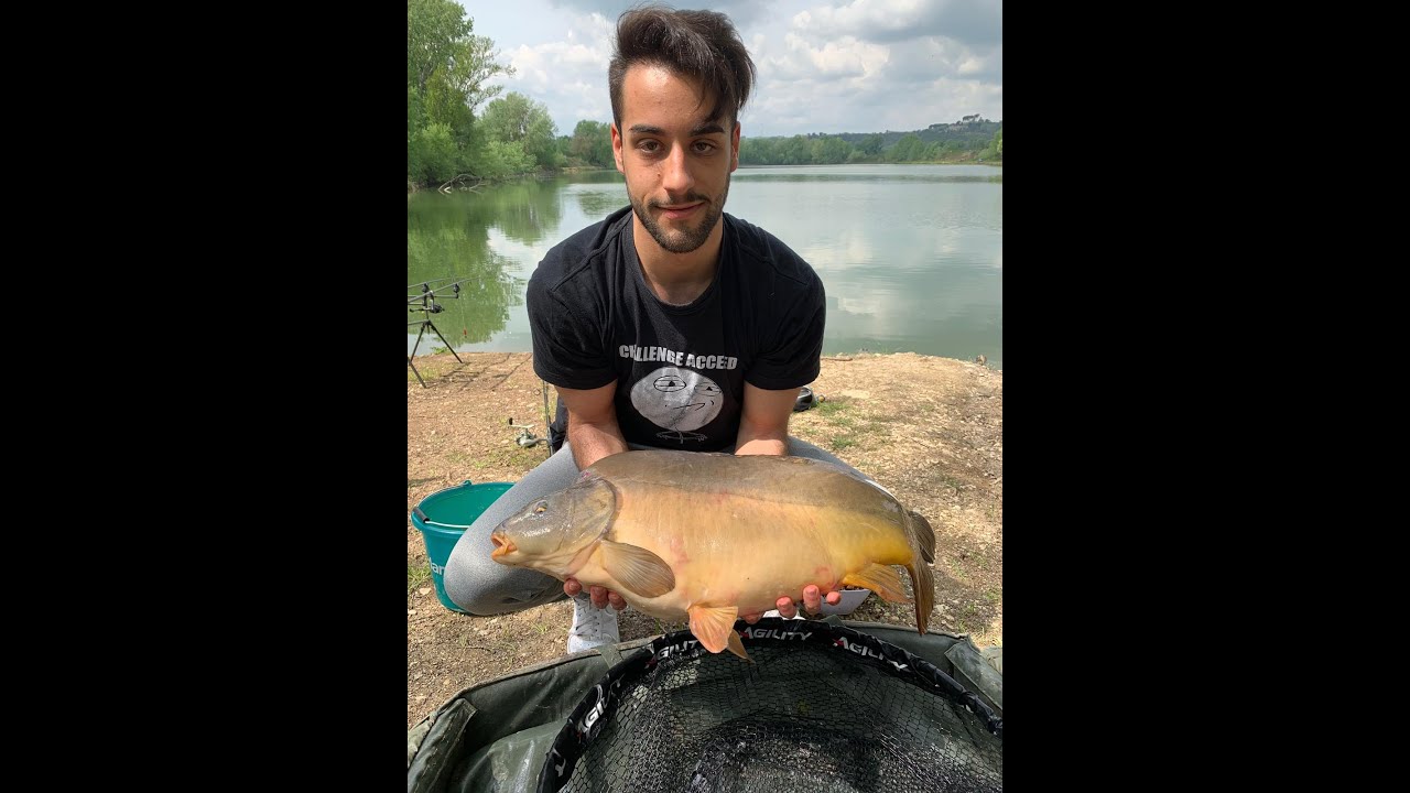 [La Barcaccia Vol 1] La Carpa obesa