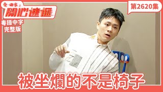愛．回家之開心速遞｜第2620集完整版｜被坐爛的不是椅子｜劉丹、呂慧儀、單立文、湯盈盈、滕麗名、吳偉豪、張景淳、林淑敏、許家傑｜港劇｜粵語中字｜2025