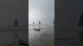 Haystack Rock - CANNON BEACH