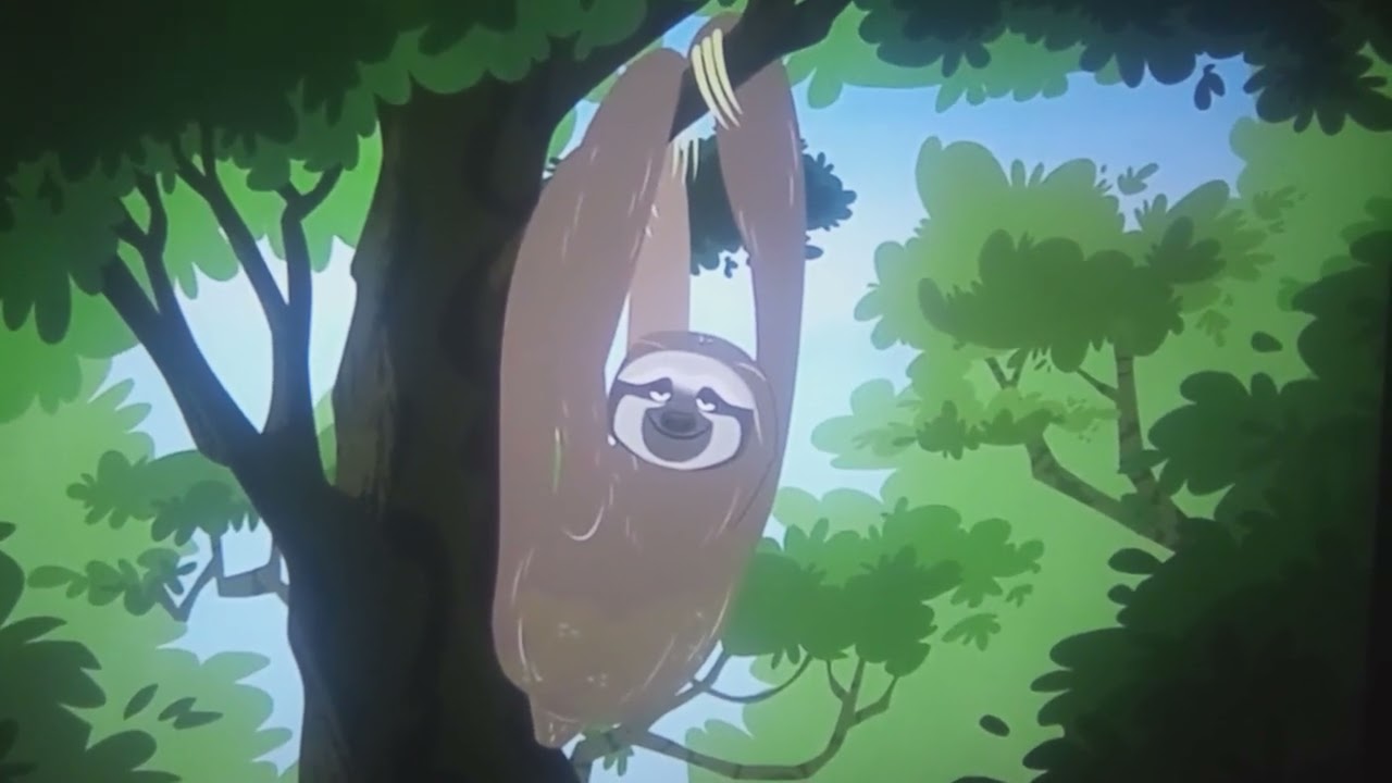 Chillax The Three Toed Sloth With Raymond S. Persei 