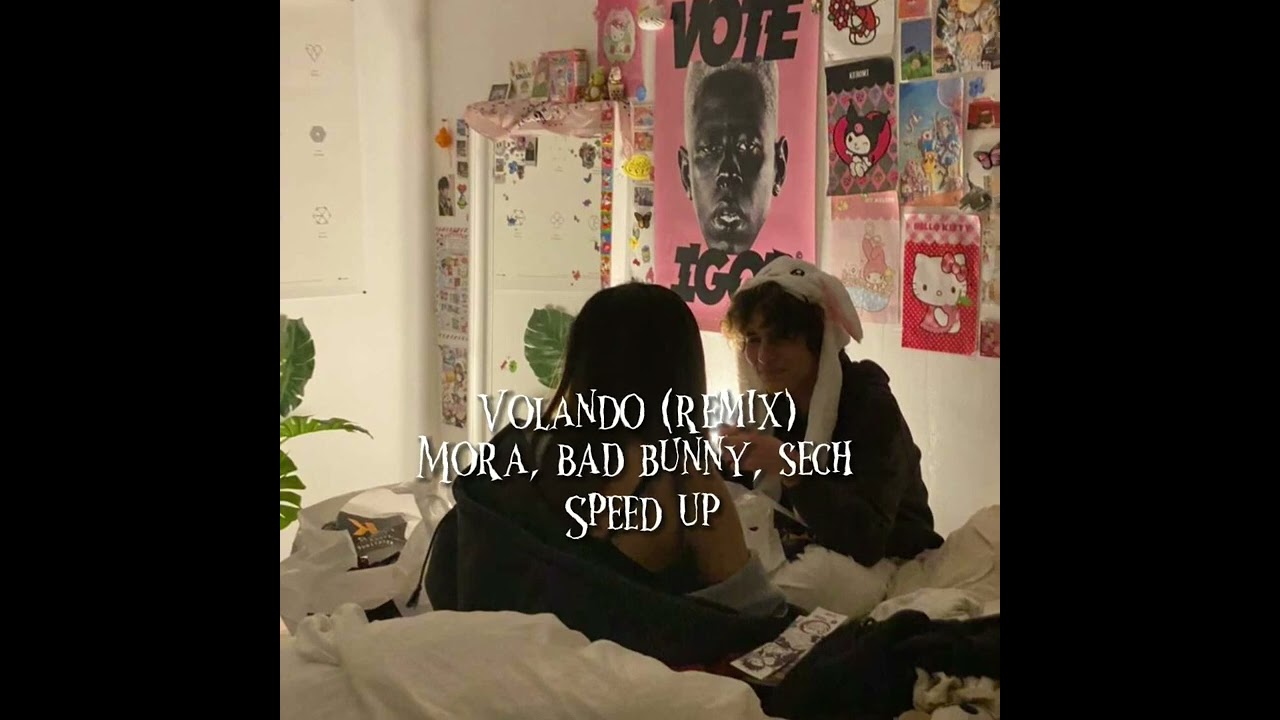 Volando remix (speed up)