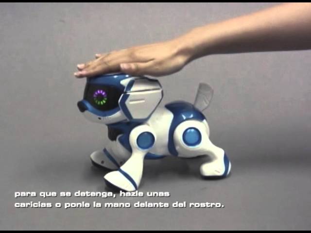 Teksta  El perro robot 