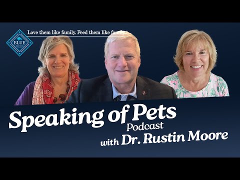 Adventures in Veterinary Education: A Journey with Rusty Moore, DVM, PhD | SOP ep.8
