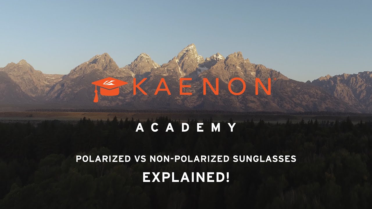 polarized sunglasses vs non