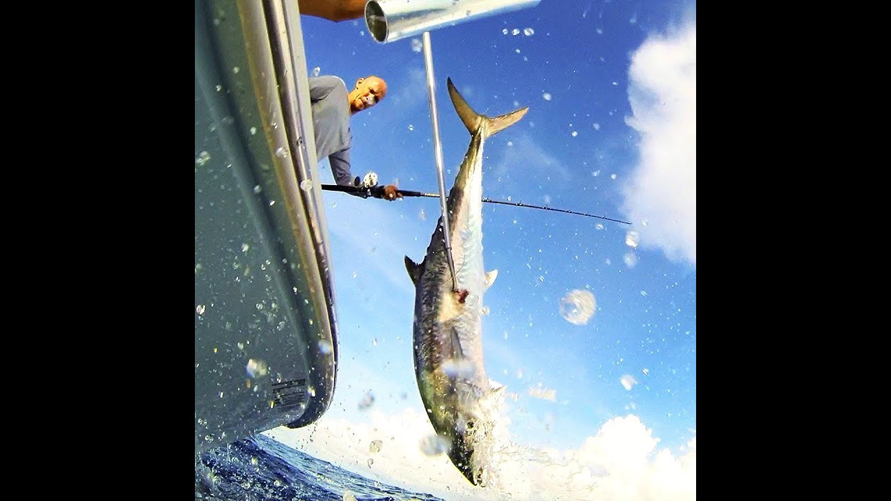 2014 Bluewater Classic Dream Catcher Fishing YouTube