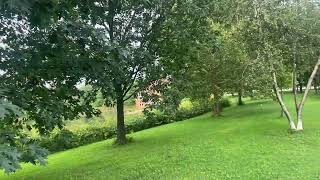 IMG 0089