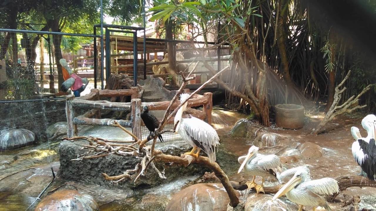 Maharani Zoo Goa Maharani Youtube