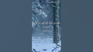 سورة الشعراء ( ١١٦ - ١٢٢) / ياسر الدوسري