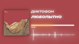 Диктофон - «Любопытно» (Official Audio)