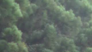 MOV01A 11