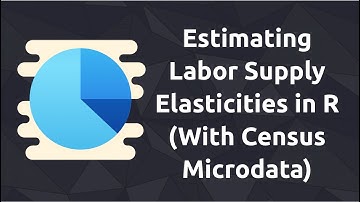 Estimating Labor Supply Elasticities in R: Census Microdata Analysis (Part 2)