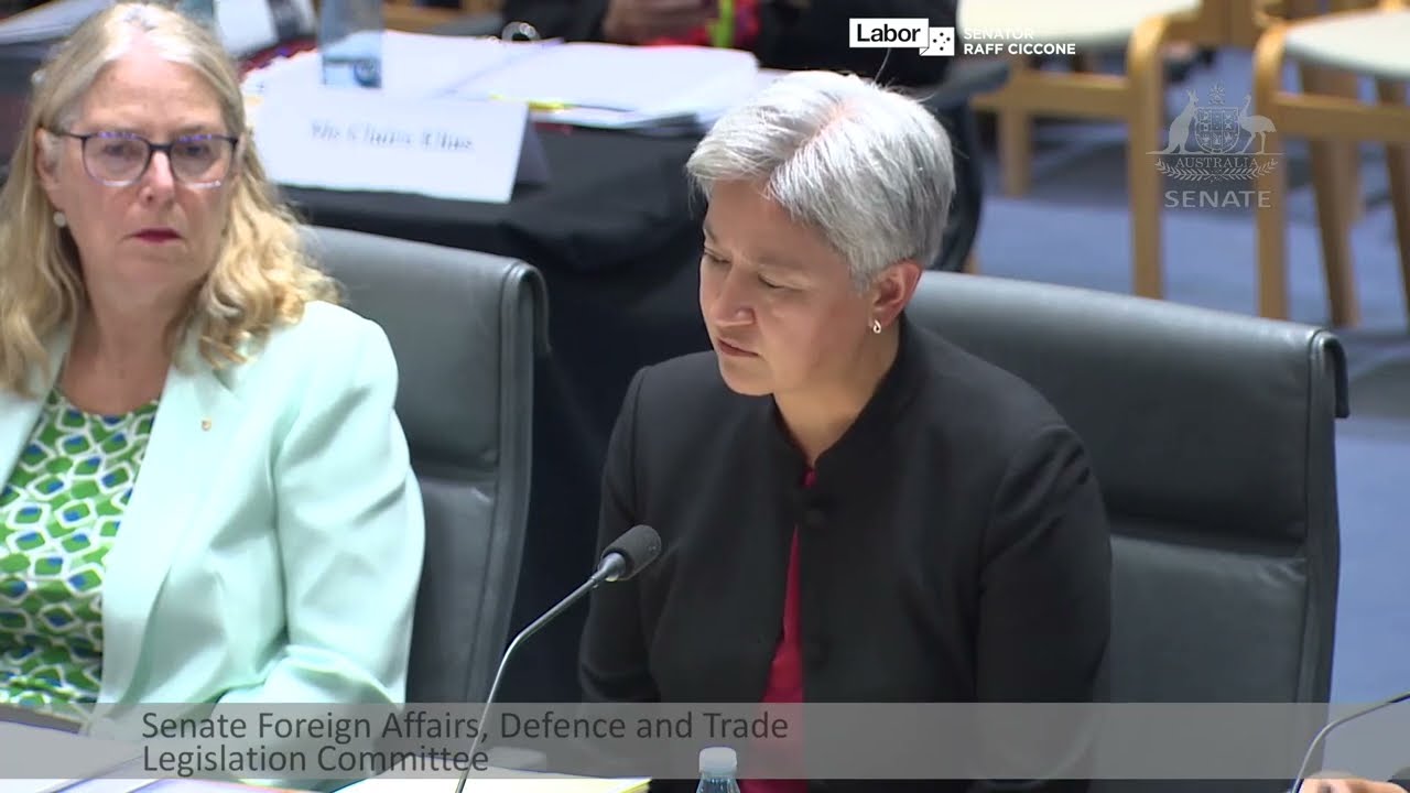 Australia condemns Iranian regime's crackdown: Senate Estimates FADT Committee, 12 February 2026