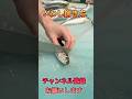 いわし捌き方フライ用#short #shorts #new #fish #japan #howto #おすすめ #簡単 #料理 #釣り #楽しい #美味しい #チャレンジ #cooking