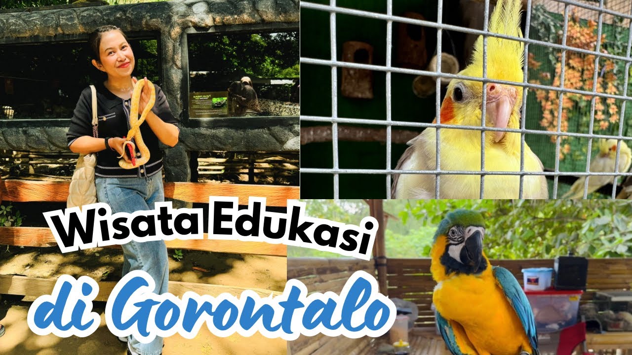 Wisata Edukasi di Gorontalo