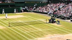 Wimbledon 2011 Women's Singles Final: Maria Sharapova vs Petra Kvitova
