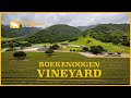 Boekenoogen santa lucia highlands vineyard  monterey county ca